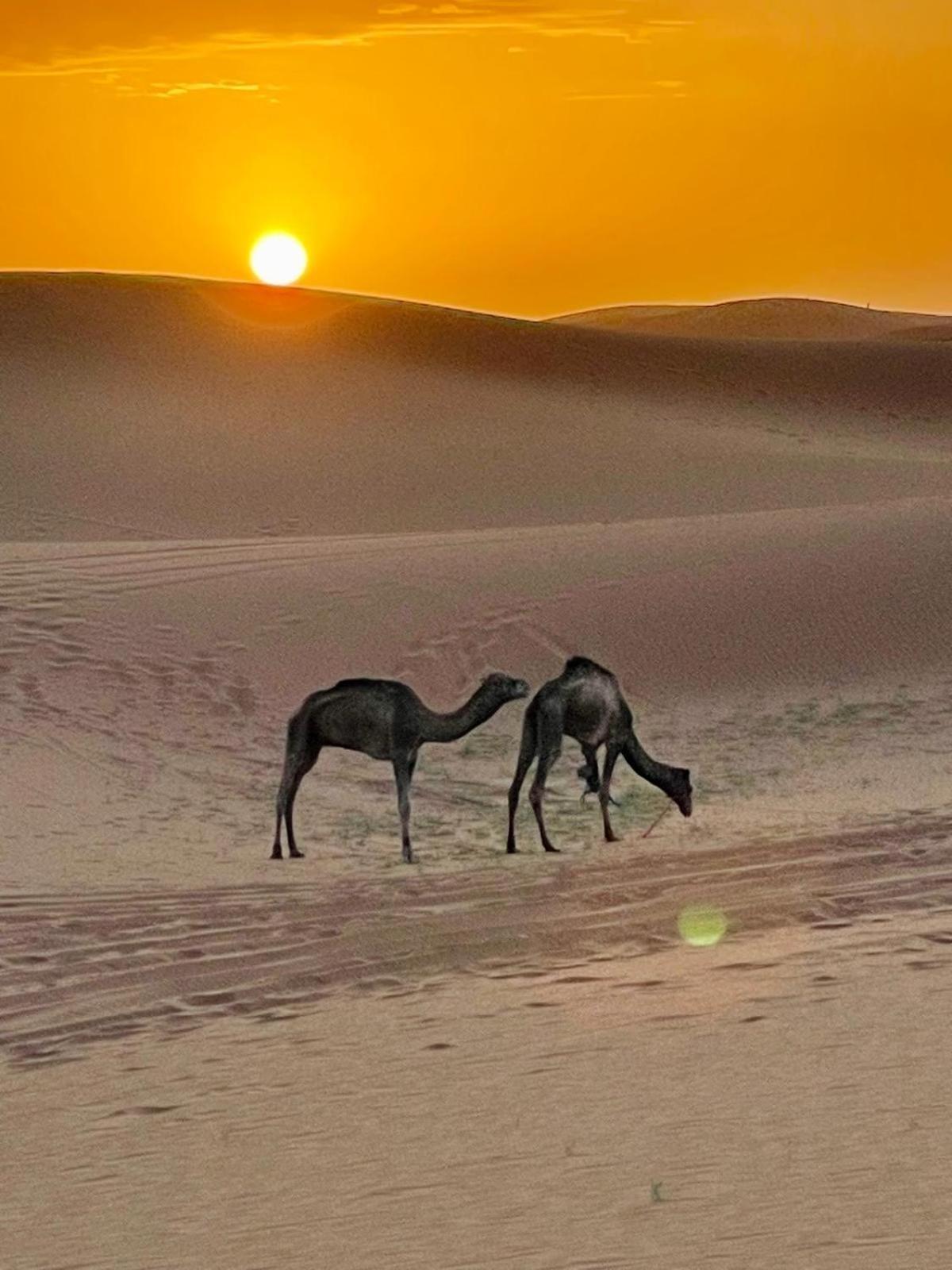 Chigaga Desert Camp M'Hamid Esterno foto